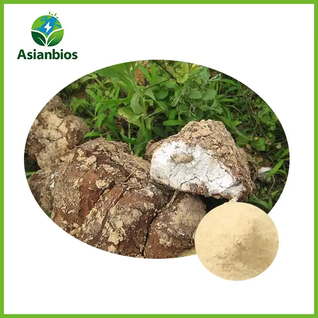 Poria Extract